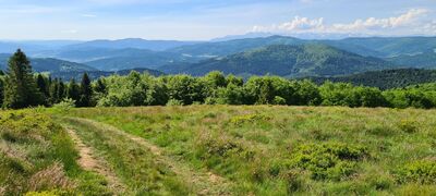 Ścieżka dydaktyczna (czerwona) z Polany Stumorgowej