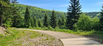 Ścieżka dydaktyczna pod Mogielicą