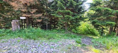 Ścieżka dydaktyczna pod Mogielicą