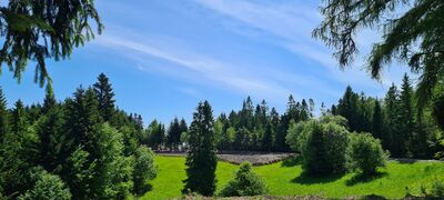 Widok w kierunku parkingu Wyrębiska spod obelisku upamiętniającego Leśniczówkę Andrzeja Florka