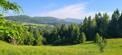 Widok na Modyń z czerwonego szlaku na Gorc