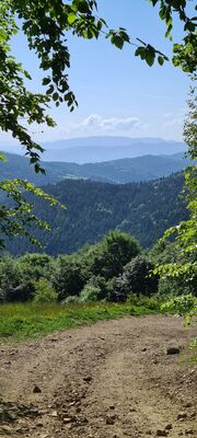 Odejście na punkt widokowy na wysokości ok. 910 m n.p.m. z czerwonego szlaku na Gorc