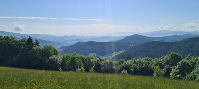 Panorama na wchód z punktu widokowego na wysokości ok. 910 m n.p.m. obok czerwonego szlaku na Gorc