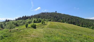 Widok na Gorc z Gorca Kamienickiego