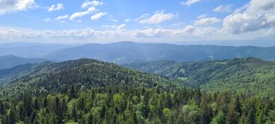 Widok z wieży widokowej na Gorcu w kierunku Lubania (widoczna wieża widokowa)