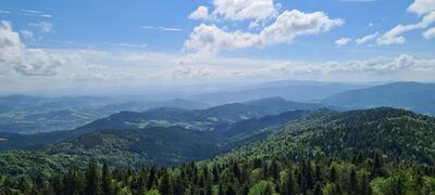 Widok z wieży widokowej na Gorcu na Beskid Sądecki