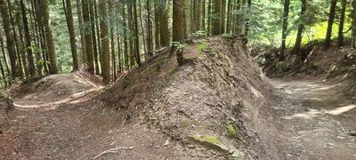 Czerwony szlak na Gorc na wysokości ok. 830 m n.p.m.