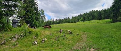 Wierch Młynne ↔ Zasadne [Polana Dolinki z kapliczka]