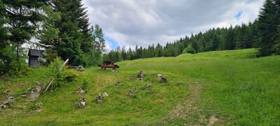 Polana Dolinki z kapliczka