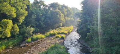 Poranny czerwony szlak nad Żylicą w Łodygowiach