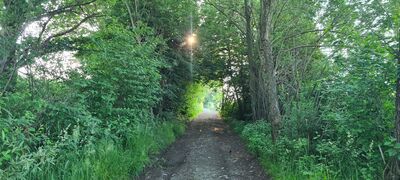 Czerwony szlak wzdłuż ul. Turystycznej w Łodygowicach