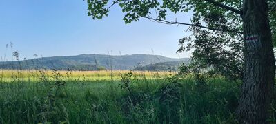 Widok na pasmo Czupla z ul. Turystycznej w Łodygowicach (czerwony szlak)