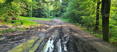 Rozejście szlaków pod Przysłopem