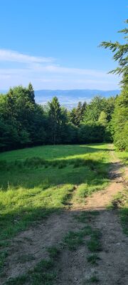 Widok na Beskid Śląski z polany przy czerwonym szlaku na wysokości 780 m n.p.m.