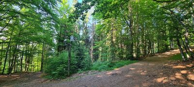 Przełęcz pod Czuplem 872 m n.p.m.