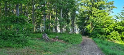 Niebieski szlak pod Czuplem