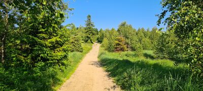 Niebieski szlak pod Czuplem