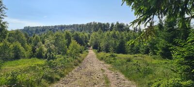 Pasmo Czupla z niebieskiego szlaku