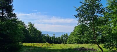Widok na Beskid Śląski z niebieskiego szlaku pod Czuplem