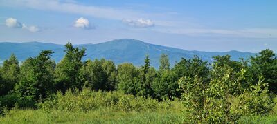 Widok na Skrzyczne z niebieskiego szlaku pod Czuplem
