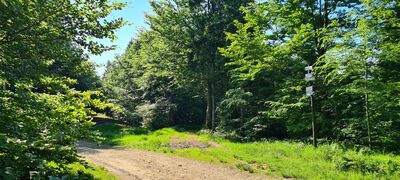 Odejście szlaku przy Smoczej Jamie