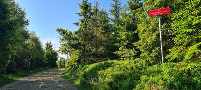 Niebiesko-czarny szlak między Czuplem a Magurką