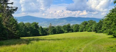 Widok na Skrzyczne i Klimczok z polany wzdłuż szlaku pod Magurką