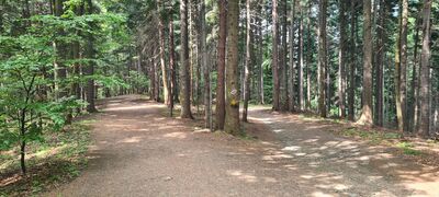 Rozejście szlaków przy skrzyżowaniu do Piotra