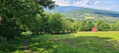 Czarny szlak nad Wilkowicami