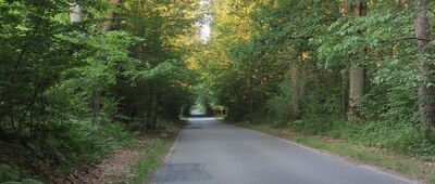 Brzesko, Rondo Armii Krajowej ↔ Szczepanów [Las Szczepanowski]