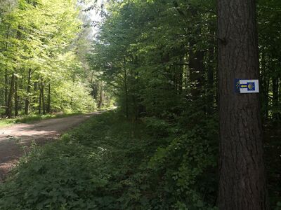 Via Regia w lewo (zakrywa znak na prosto, przebieg zmieniony niedawno przez budowę Obwodnicy)