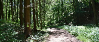 Rozejście pod Polanką ↔ Unisław Dolny, tory