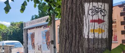 Strzelce Krajeńskie, ul. Wojska Polskiego ↔ Strzelce Krajeńskie, ul. Poznańska [Strzelce Krajeńskie, ul. Wojska Polskiego]