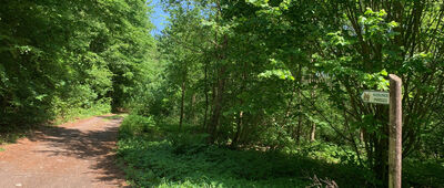 Rozejście szlaków ↔ Rozejście szlaków