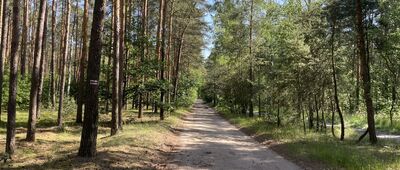 Rozgarty ↔ Barbarka