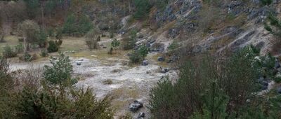 Rozejście szlaków ↔ Kamieniołom w Kielnikach [Kamieniołom w Kielnikach]