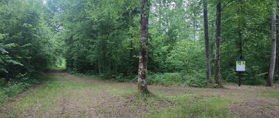 Rozejście ścieżki