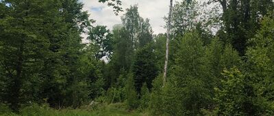 Rozejście ścieżki ↔ Rozejście ścieżki