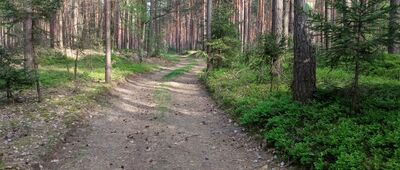 Przystajń, boisko ↔ Koski Drugie