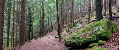 Szklarska Poręba, ul. Bolesława Prusa ↔ Szklarska Poręba, ul. Juliusza Naumowicza