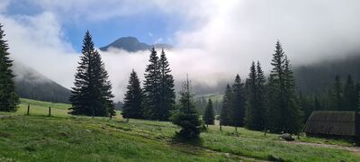 Widok spod Schroniska na Polanie Chochołowskiej w kierunku wyłaniającego się zza chmur pasmo Kopieńca