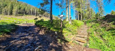 Odejście na Bobrowiecką Przełęcz