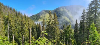 Widok w kierunku Bobrowca z żółto-niebieskiego szlaku na wysokości ok. 1350 m n.p.m.