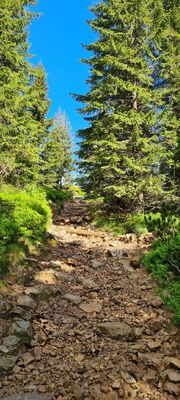 Żółto-niebieski szlak w okolicach Czoła