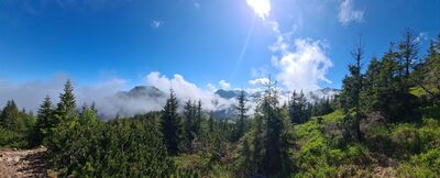Widok w kierunku Czerwonego Wierchu z żółto-niebieskiego szlaku na wysokości ok. 1550 m n.p.m.