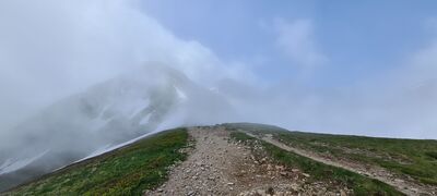 Niebiesko-zielony szlak pod Rakoniem w kierunku Wołowca