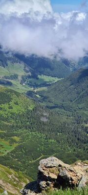 Widok na Schronisko na Polanie Chochołowskiej z Wołowca