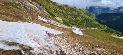 Zalegający śnieg na zielonym szlaku (czerwiec) utrudniający ruch