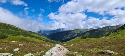 Widok na Dolinę Chochołowską Wyżnię z zielonego szlaku