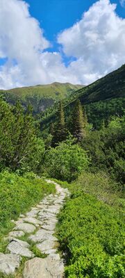 Zielony szlak w Wyżni Doliny Chochołowskiej